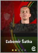 بطاقة Ľubomír Šatka · CB