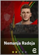 Nemanja Radoja DMF card