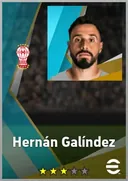 بطاقة Hernán Galíndez · GK