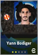 Carte de Yann Bodiger · DMF