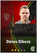 Dénes Dibusz GK card