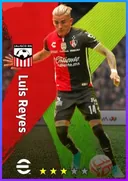 Luis Reyes LB card