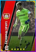 Lukáš Hradecký GK card