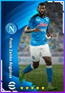 بطاقة Frank Zambo Anguissa · DMF