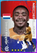 بطاقة Steven Bergwijn · LWF