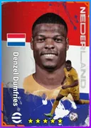 بطاقة Denzel Dumfries · RB