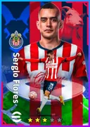 Sergio Flores DMF card