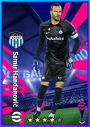 بطاقة Samir Handanovič · GK