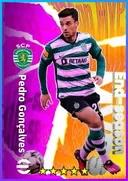 Pedro Gonçalves RWF card