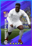 Wilfried Gnonto SS card
