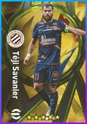 Téji Savanier AMF card