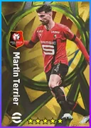Martin Terrier LWF card