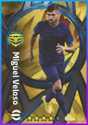 بطاقة Miguel Veloso · DMF