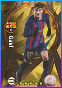 Gavi CMF card