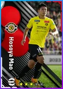 بطاقة Hosoya Mao · CF