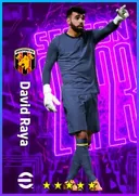 David Raya GK card