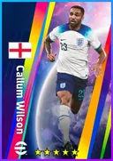 Carte de Callum Wilson · CF