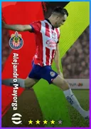 Alejandro Mayorga LB card
