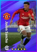 Carte de Jadon Sancho · LWF