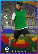 Isco AMF card
