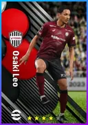 Osaki Leo DMF card