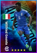 بطاقة Wilfried Gnonto · LWF