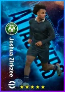 Joshua Zirkzee CF card