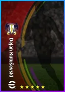 Dejan Kuluševski RWF card