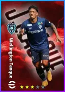 Carte de Wellington Tanque · CF