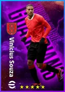بطاقة Vinicius Souza · DMF