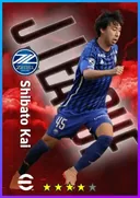 Shibato Kai DMF card