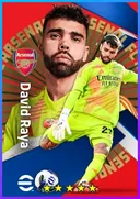 Carte de David Raya · GK