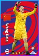 Wang Dalei GK card