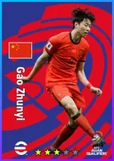 Gao Zhunyi CB card