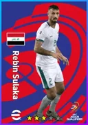 Rebin Sulaka CB card