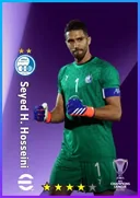 Seyed H. Hosseini GK card