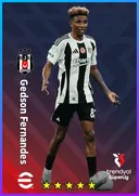 بطاقة Gedson Fernandes · CMF