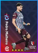 Pedro Malheiro RB card