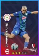 Dal Varešanović AMF card