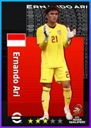 Carte de Ernando Ari · GK