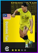 Dominic Tan CB card