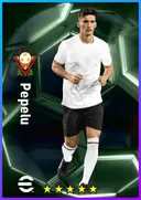 Pepelu DMF card