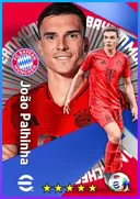 João Palhinha DMF card