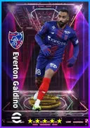 Carte de Everton Galdino · RWF