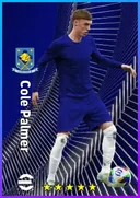 Carte de Cole Palmer · AMF