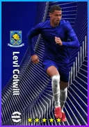 Levi Colwill CB card