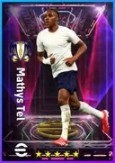 Mathys Tel LWF card