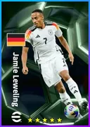 Jamie Leweling RWF card
