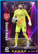 David Raya GK card