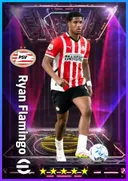 Ryan Flamingo CB card